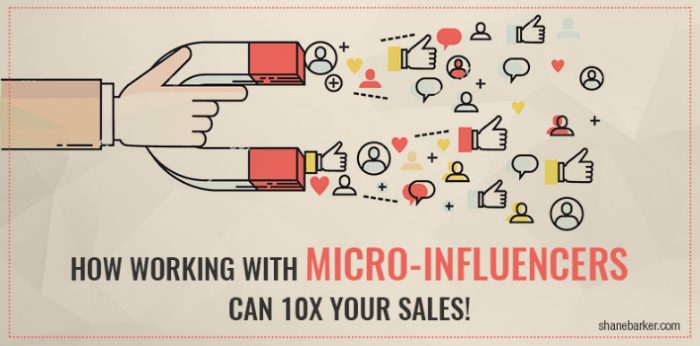 Working with Micro-Influencer